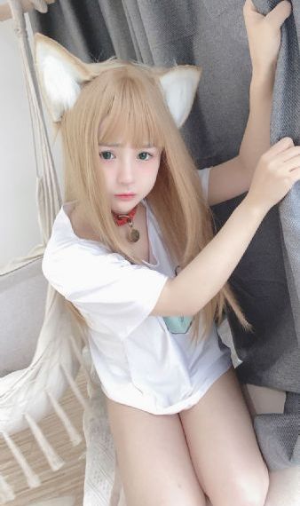 又黄又爽免费无遮挡在线观看